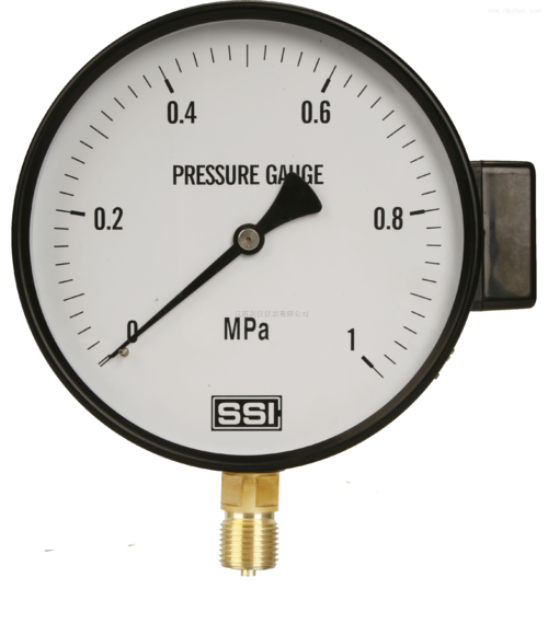 美國(guó)DURANT壓力表