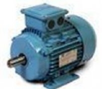 意大利NERI MOTORI變頻電機