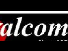 意大利Valcom流量計